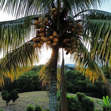 Finca Hotel Los Cocos Монтенегро Экстерьер фото