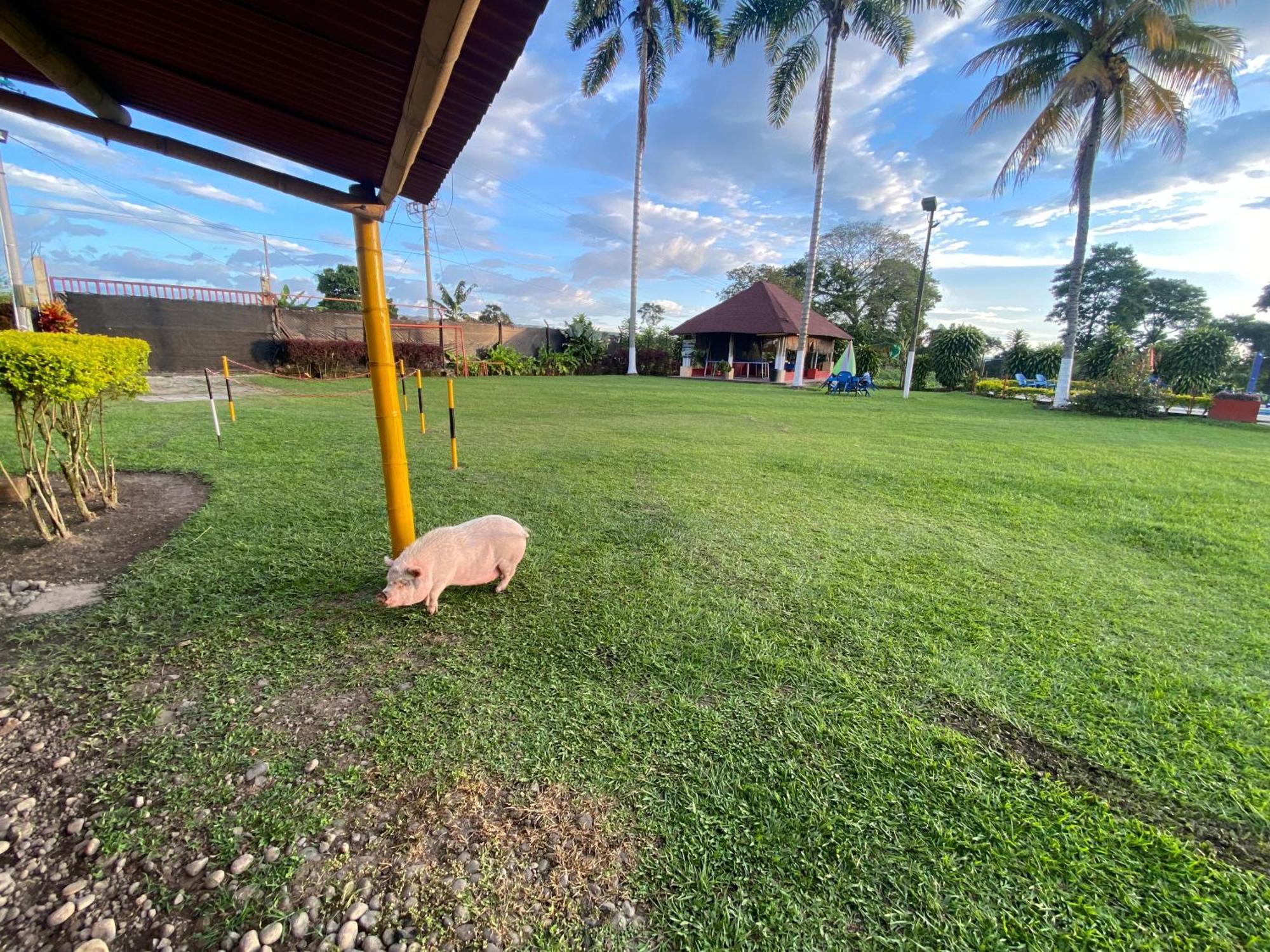 Finca Hotel Los Cocos Монтенегро Экстерьер фото