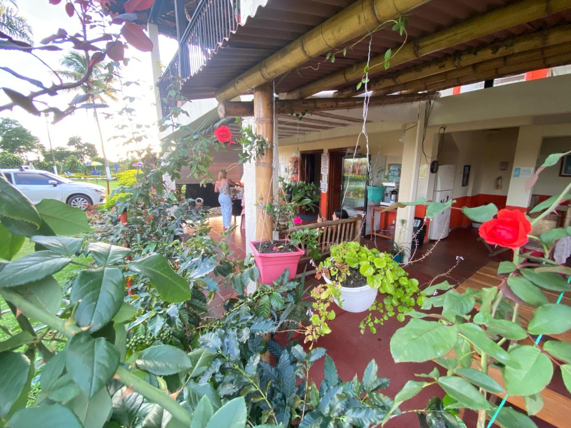 Finca Hotel Los Cocos Монтенегро Экстерьер фото
